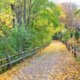 Perkiomen Trail with fall foliage