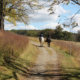 People riding horseback at Perkiomen Trail